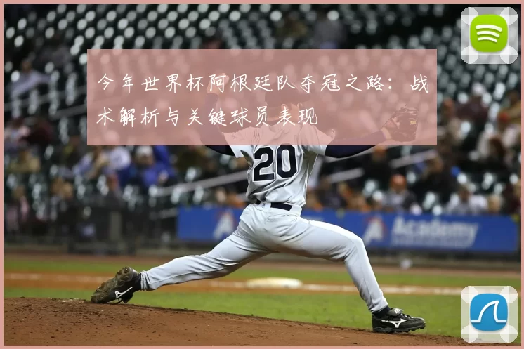 今年世界杯阿根廷队夺冠之路：战术解析与关键球员表现