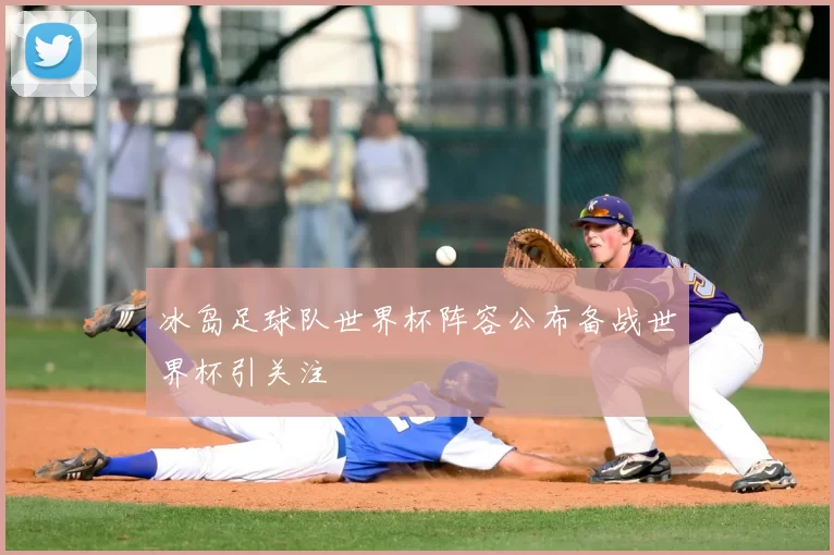 冰岛足球队世界杯阵容公布备战世界杯引关注