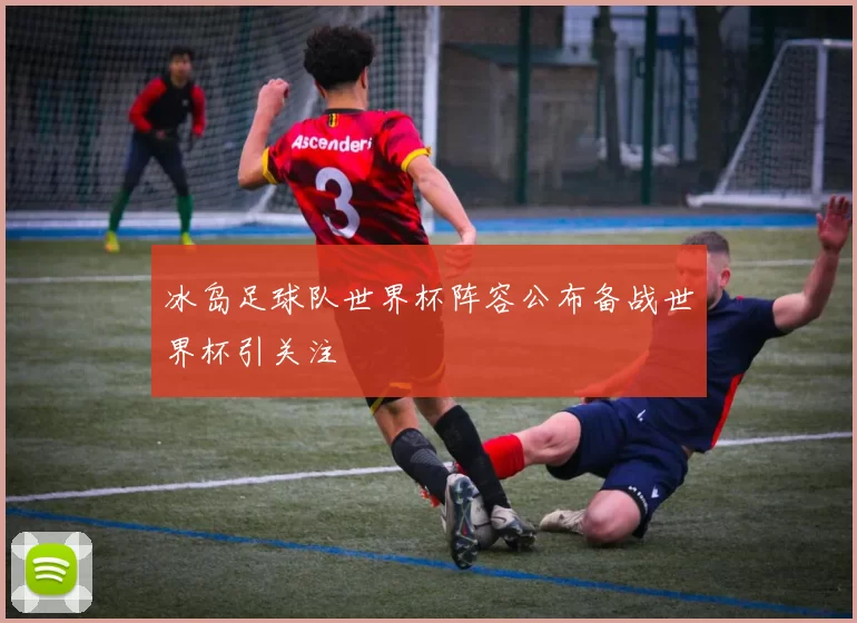 冰岛足球队世界杯阵容公布备战世界杯引关注