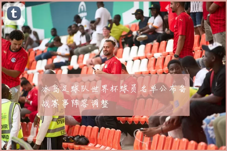 冰岛足球队世界杯球员名单公布备战赛事阵容调整