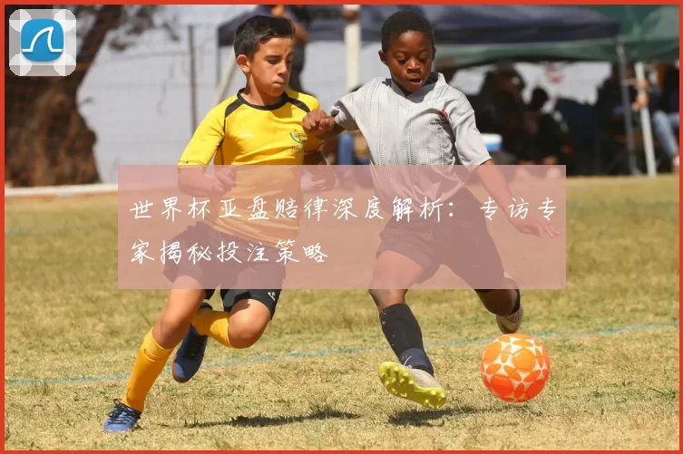 世界杯亚盘赔律深度解析：专访专家揭秘投注策略