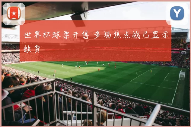 世界杯球票开售 多场焦点战已显示缺货
