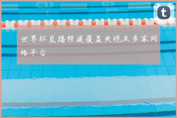 世界杯直播频道覆盖央视及多家网络平台