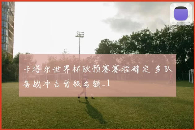 卡塔尔世界杯欧预赛赛程确定 多队备战冲击晋级名额_1