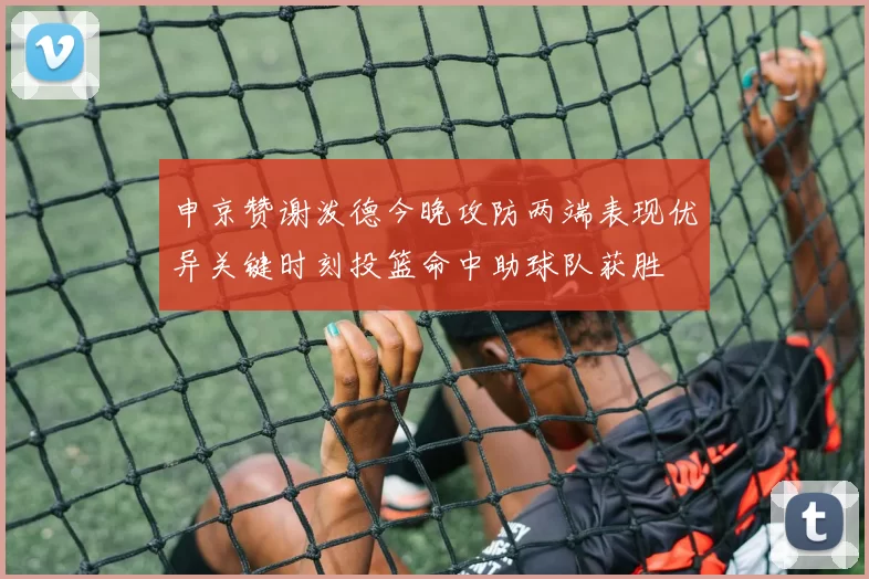 申京赞谢泼德今晚攻防两端表现优异关键时刻投篮命中助球队获胜