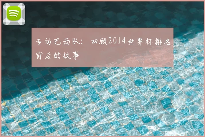 专访巴西队：回顾2014世界杯排名背后的故事