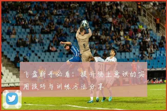 飞盘新手必看：提升场上意识的实用技巧与训练方法分享