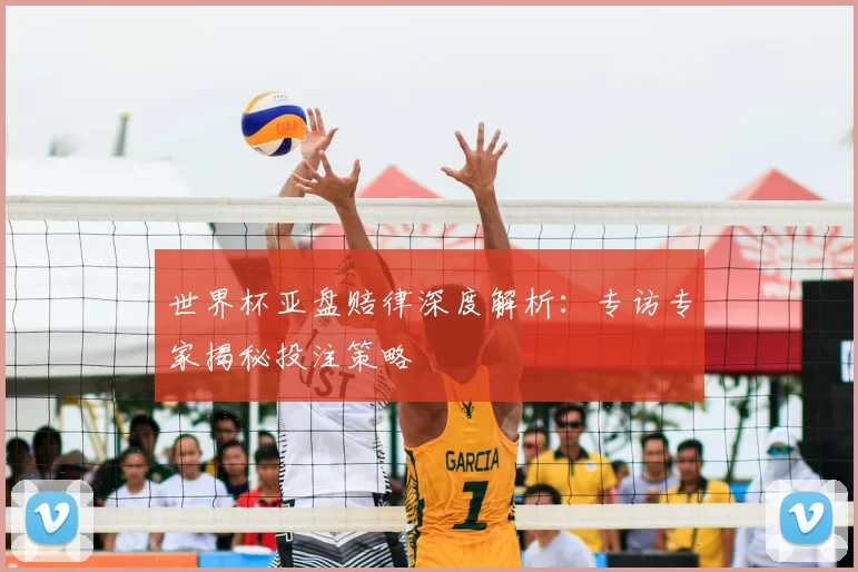 世界杯亚盘赔律深度解析：专访专家揭秘投注策略