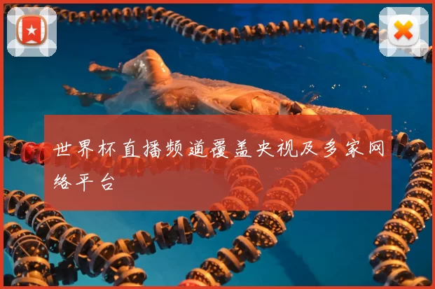 世界杯直播频道覆盖央视及多家网络平台