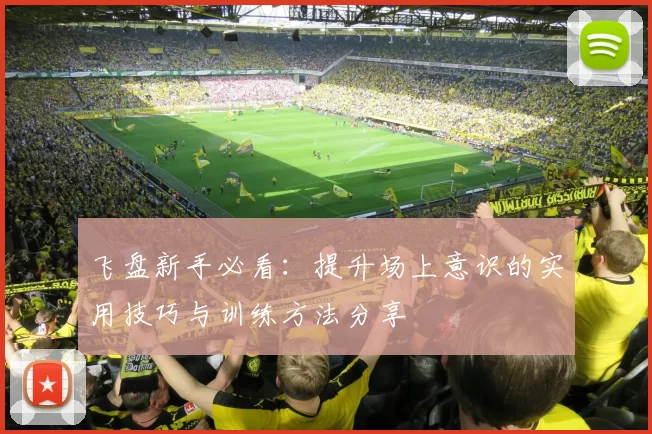 飞盘新手必看：提升场上意识的实用技巧与训练方法分享