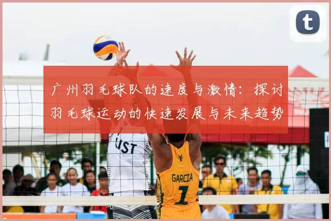 广州羽毛球队的速度与激情：探讨羽毛球运动的快速发展与未来趋势