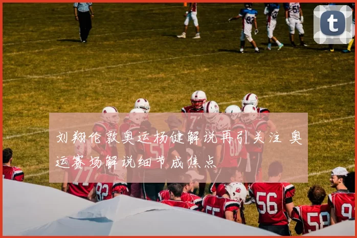 刘翔伦敦奥运杨健解说再引关注 奥运赛场解说细节成焦点