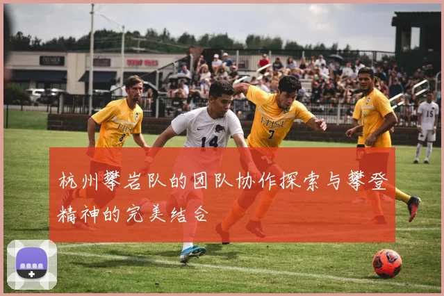 杭州攀岩队的团队协作探索与攀登精神的完美结合